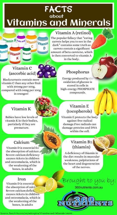 Facts About Vitamins And Minerals Visually