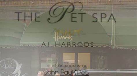 Showcase Salon The Pet Spa At Harrods In London Uk Learn2groomdogs