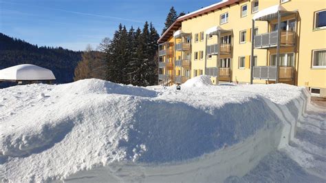 Die ferienanlage liegt an einem sonnigen südhang, umgeben von wald und saftigen wiesen. Galerie - Haus Bayerischer Wald