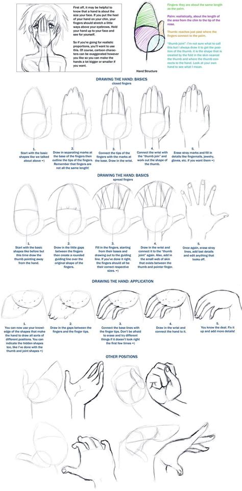 Drawing Hands Beginner Techniques Human Anatomy Drawing Reference