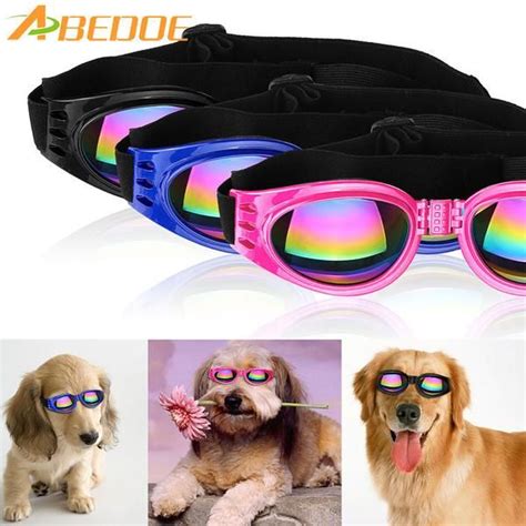 Uv Sunglasses For Your Dog Uv Sunglasses Pets Pet Dogs