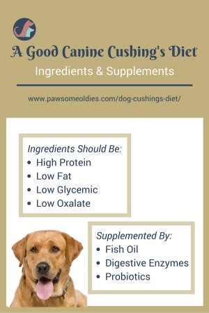 Another way to control the carbs and calories going into your dog's diet is through homemade best supplements for diabetes in dogs. Canine Cushing's Diet, Supplements and Natural Remedies ...
