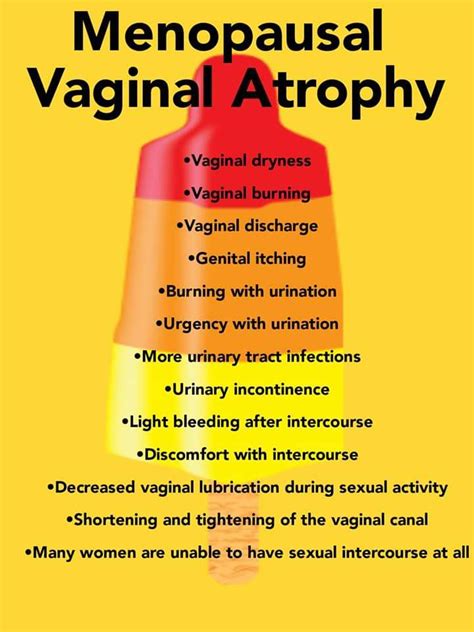 Vaginal Atrophy Why Is Everything Such A Battle For Us By Adele