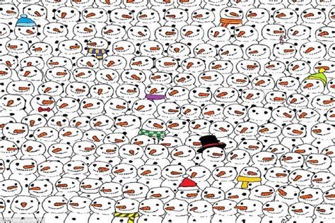 Can You Spot The Panda Youtube