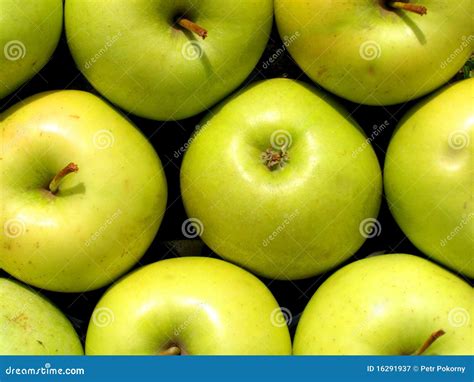 Green Apples Texture Stock Image Image Of Object Detail 16291937