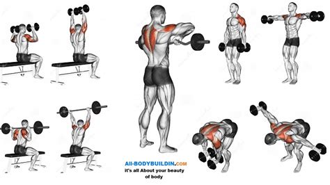 Best Shoulder Workout 5 Exercises Explained Bodydulding