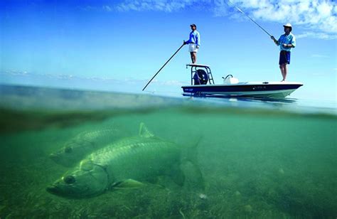 Six 6 Reasons Why You Should Go Fishing In Belize Belize Budget Suites