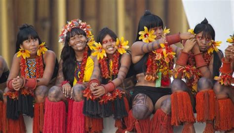 Povos Ind Genas No Brasil Resumo Quais S O Como Vivem Cultura