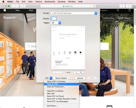 Enter a name in the save as field, then enter one or more tags (optional). How to Save WebPage as PDF on Mac with Safari, Chrome ...