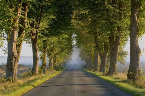 282 likes · 6 talking about this. Download 42 Koleksi Background Foto Jalan Raya Paling ...