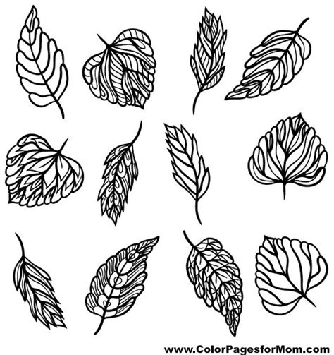 Advanced Leaves Coloring Page 18