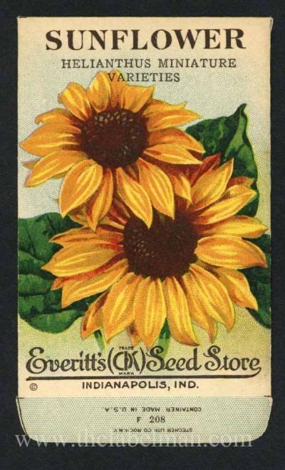 Image Result For Sunflower Seed Packets Garden Seeds Packaging Seed