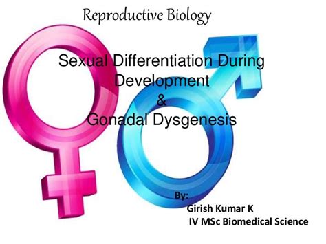 Sexual Differentiation During Development And Gonadal Dysgenesis