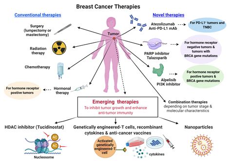 What Type Of Breast Cancer Is Hereditary ️updated