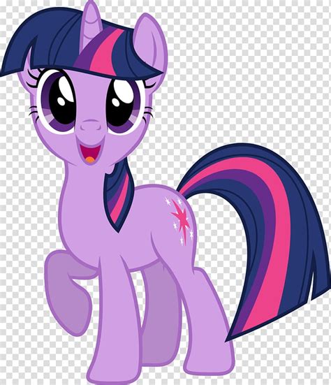 My Little Pony unicorn , Twilight Sparkle Rarity Pinkie Pie Pony, My