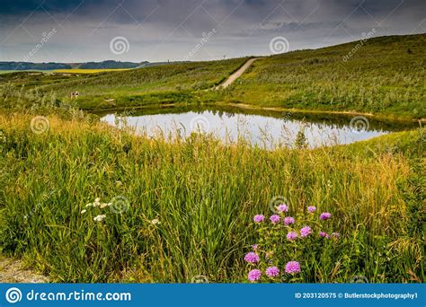 Flora Abounds Around The Ranch Glenbow Ranch Provincial Recreation