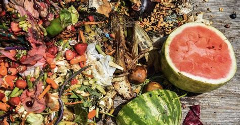 Food Waste Is A Vastly Overlooked Driver Of Climate Change The