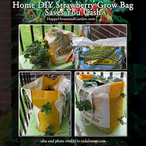 Simple Garden Grow Bag From The Grocery Store Grows Your Strawberries