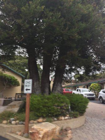 See actions taken by the people who manage and post content. Sea Breeze Inn & Cottages - UPDATED 2017 Prices & Reviews ...