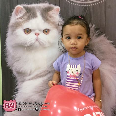 Jenis kucing yang ada di dunia ini ternyata sangat banyak mencapai 155 jenis kucing dan ada dii sini www.jeniskucing.com. Macam-macam jenis dan baka kucing ada di Ekspo Kucing 2019