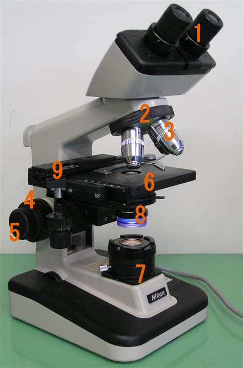 Mikroskop Lensa Okuler Dan Objektif