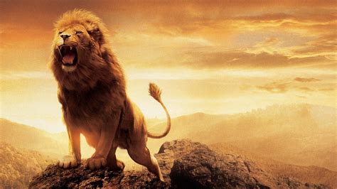 Narnia Lion Aslan Wallpapers Hd Wallpapers Id 15038