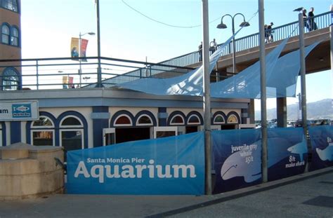 Santa Monica Pier Aquarium Santa Monica Ca California Beaches