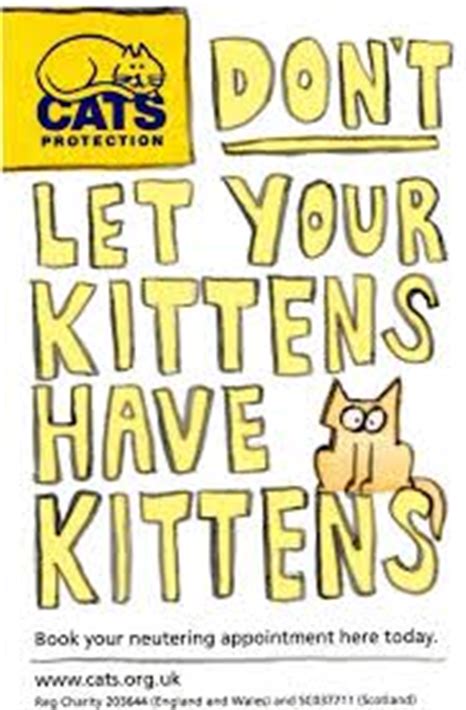 On average, adopted kitties scoured an area of roughly 4.9 acres during their prowling sessions. Help with Neutering Your Cat