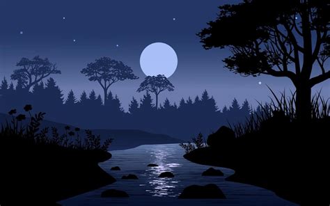 Hermoso Bosque De Noche Night Illustration Anime Scenery Wallpaper