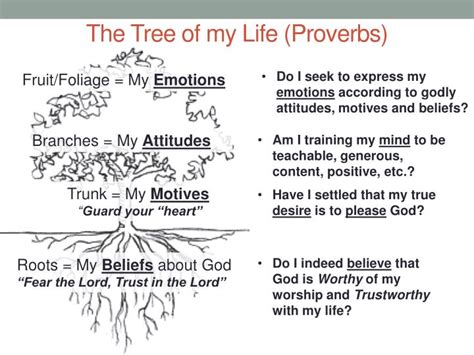 Ppt The Tree Of My Life Proverbs Powerpoint Presentation Free
