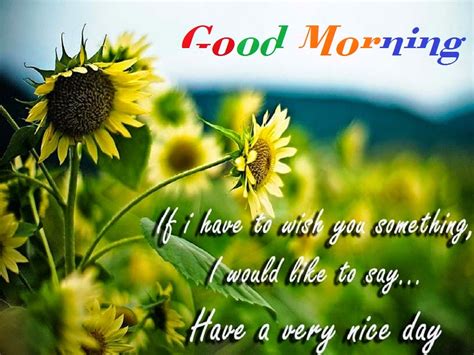 Best Good Morning Wishes Messages Hq Wallpapers Festival Chaska