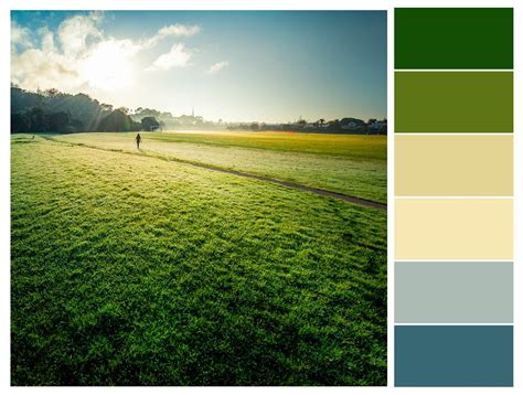 Fields Color Combination Palette Design Color Scheme Color Schemes