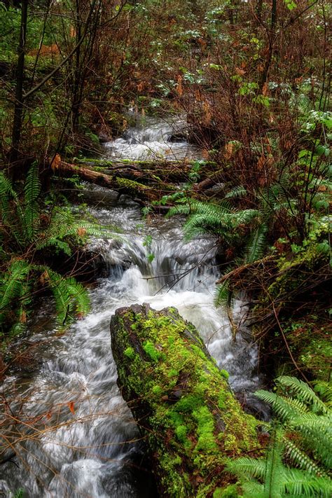 Small Creek Waterfall Photograph By Naturally Scenic Images