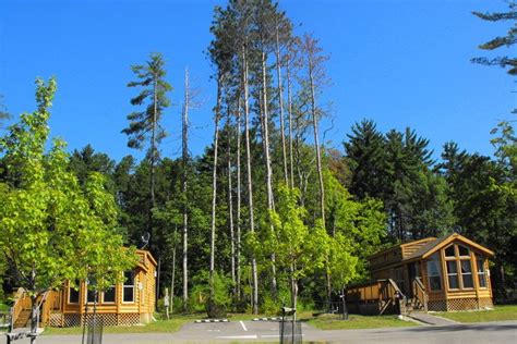 Winton woods is a park in springfield township and the village of greenhills in the northern suburbs of cincinnati, ohio, united states. Winton Woods Campground | House styles, Cabin, Tree