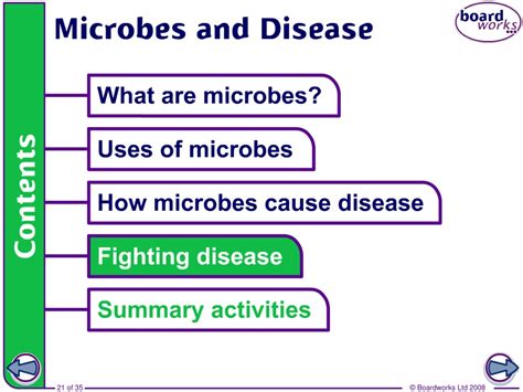 Ppt Microbes And Disease Powerpoint Presentation Free Download Id