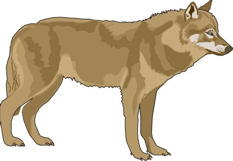 Wolf Howling Clipart Clip Art Library