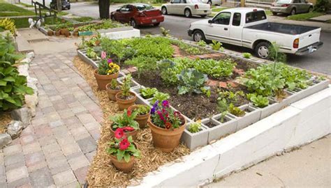 Eat Your Yard Urban Food Gardens Edible Kansas City