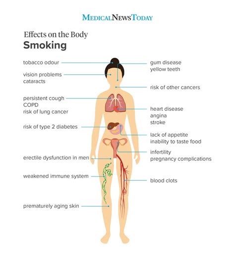 What You Need To Know How Does Smoking Cause Atherosclerosis