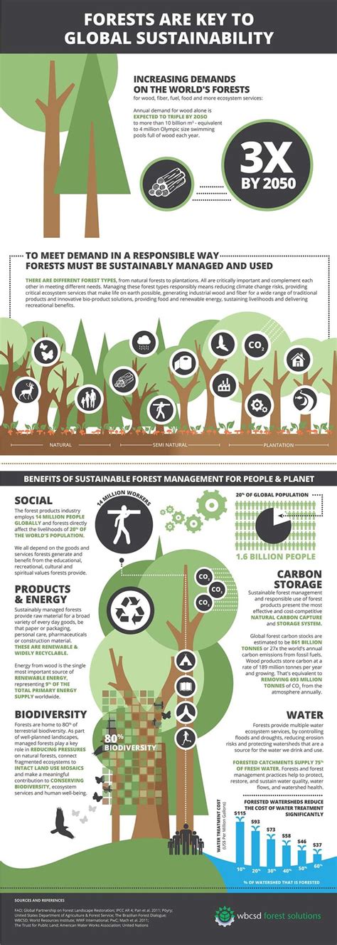 Forests Are Key To Global Sustainability Sustainability