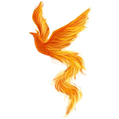 Gambar Api Phoenix Terbang Phoenix Api Burung Burung Png Transparan