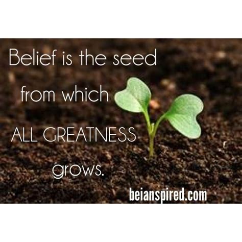belief is the seed from which all greatness grows ~be ian thoughts