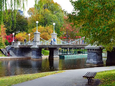 Rediscover the Boston Public Garden and Surrounding Area ...