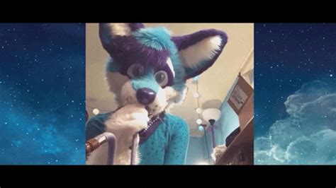 Anthro Furry GIFs Find Share On GIPHY
