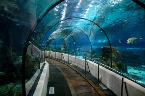 Istanbul Aquarium İstanbul Aquarium