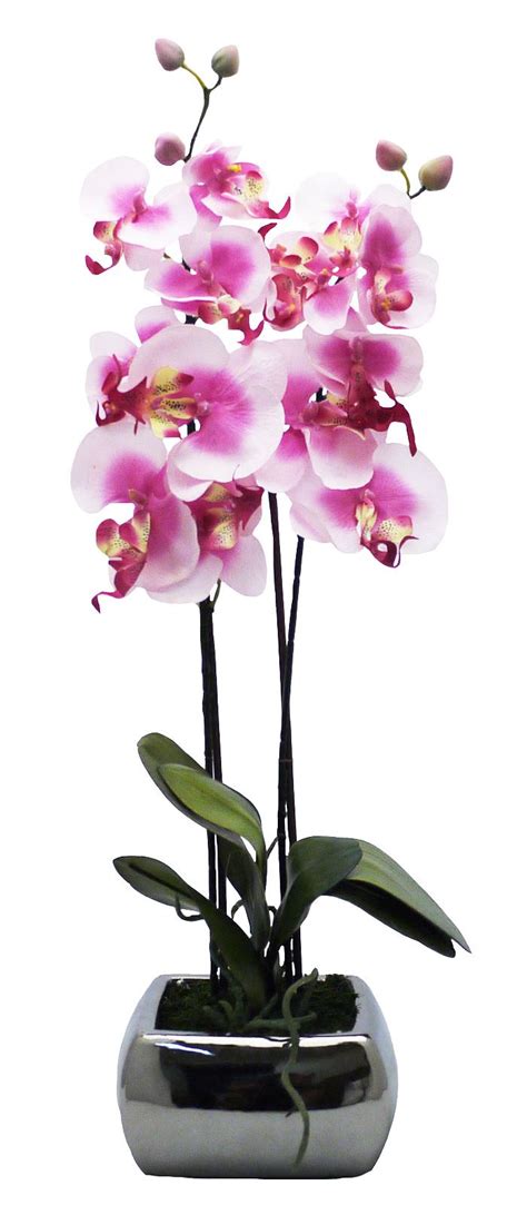 Artificial Large 60cm Potted Plant Orchid Silver Pot Houseplant Office Indoor Ebay