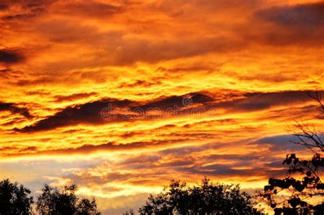 Fiery Sunset Orange Yellow Clouds Lilac Sky And Black Silhouettes Of