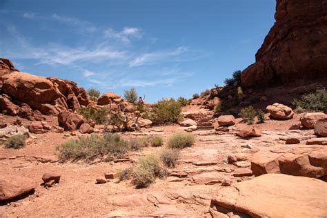 Rocks And Grasses In The Desert Image Free Stock Photo Public