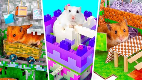 Fun Diy Hamster Mazes Minecraft And Lego Adventure For Your Pet