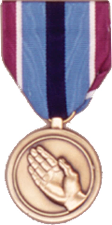 Humanitarian Service Medal Full Size
