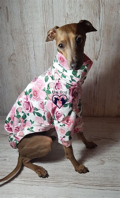 You'll receive email and feed alerts when new. Italian greyhound clothes, Grey hound dog, Dog coats